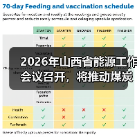 2026年山西省能源工作会议召开，将推动煤炭产业产品实现“两（图4）