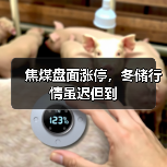 焦煤盘面涨停,冬储行情虽迟但到(图4) 焦煤盘面涨停,冬储行情虽迟但到(图4)