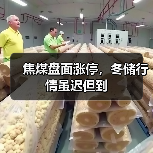 焦煤盘面涨停,冬储行情虽迟但到(图3) 焦煤盘面涨停,冬储行情虽迟但到(图3)