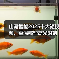 山河智能2025十大短视频,重温那些高光时刻(图1) 山河智能2025十大短视频,重温那些高光时刻(图1)