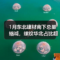 1月东北建材南下总量缩减,螺纹华北占比超九成(图3) 1月东北建材南下总量缩减,螺纹华北占比超九成(图3)