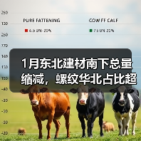 1月东北建材南下总量缩减,螺纹华北占比超九成(图4) 1月东北建材南下总量缩减,螺纹华北占比超九成(图4)