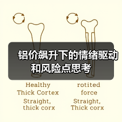 铝价飙升下的情绪驱动和风险点思考(图4) 铝价飙升下的情绪驱动和风险点思考(图4)