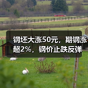 钢坯大涨50元，期钢涨超2%，钢价止跌反弹（图2）