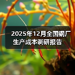 2025年12月全国钢厂生产成本调研报告（图1）