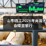 山东临工2026年商务大会隆重举行（图3）