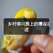 乡村振兴路上的建设足迹(图2) 乡村振兴路上的建设足迹(图2)