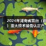 2024年湖南省首台(套)重大技术装备认定产品名单公布(图4) 2024年湖南省首台(套)重大技术装备认定产品名单公布(图4)