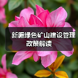 新疆绿色矿山建设管理政策解读（图4）