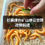 新疆绿色矿山建设管理政策解读（图2）