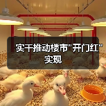 实干推动楼市 实干推动楼市