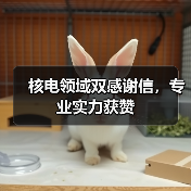 核电领域双感谢信，专业实力获赞（图4）