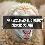 高精度滚轮轴交付助力国家重大项目（图3）
