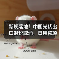 新规落地！中国光伏出口退税取消，日用物项管制升级（图2）