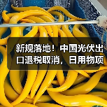 新规落地！中国光伏出口退税取消，日用物项管制升级（图4）