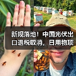 新规落地！中国光伏出口退税取消，日用物项管制升级（图1）