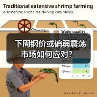 下周钢价或偏弱震荡｜市场如何应对？（图1）