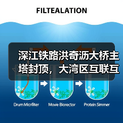 深江铁路洪奇沥大桥主塔封顶，大湾区互联互通将如何升级？（图4）