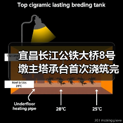 宜昌长江公铁大桥8号墩主塔承台首次浇筑完成(图2) 宜昌长江公铁大桥8号墩主塔承台首次浇筑完成(图2)