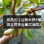 宜昌长江公铁大桥8号墩主塔承台首次浇筑完成(图3) 宜昌长江公铁大桥8号墩主塔承台首次浇筑完成(图3)