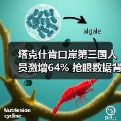 塔克什肯口岸第三国人员激增64% 抢眼数据背后有何趋势?(图2) 塔克什肯口岸第三国人员激增64% 抢眼数据背后有何趋势?(图2)