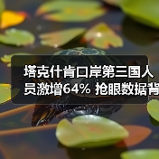 塔克什肯口岸第三国人员激增64% 抢眼数据背后有何趋势?(图3) 塔克什肯口岸第三国人员激增64% 抢眼数据背后有何趋势?(图3)