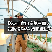 塔克什肯口岸第三国人员激增64% 抢眼数据背后有何趋势?(图1) 塔克什肯口岸第三国人员激增64% 抢眼数据背后有何趋势?(图1)