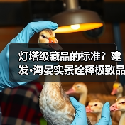灯塔级藏品的标准?建发·海晏实景诠释极致品质(图2) 灯塔级藏品的标准?建发·海晏实景诠释极致品质(图2)