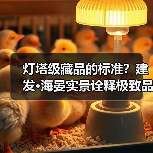灯塔级藏品的标准?建发·海晏实景诠释极致品质(图3) 灯塔级藏品的标准?建发·海晏实景诠释极致品质(图3)