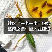 社区“一老一小”服务破解之道:嵌入式建设新路径(图3) 社区“一老一小”服务破解之道:嵌入式建设新路径(图3)