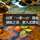社区“一老一小”服务破解之道:嵌入式建设新路径(图4) 社区“一老一小”服务破解之道:嵌入式建设新路径(图4)