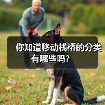 你知道移动栈桥的分类有哪些吗？（图2）