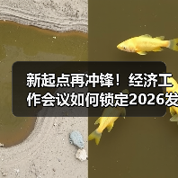 新起点再冲锋!经济工作会议如何锁定2026发展核心?(图1) 新起点再冲锋!经济工作会议如何锁定2026发展核心?(图1)