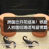跨国恋开花结果!铁路人回国结婚谱写爱情篇章(图1) 跨国恋开花结果!铁路人回国结婚谱写爱情篇章(图1)