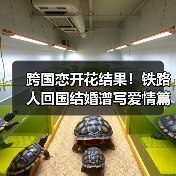跨国恋开花结果!铁路人回国结婚谱写爱情篇章(图3) 跨国恋开花结果!铁路人回国结婚谱写爱情篇章(图3)