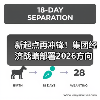 新起点再冲锋!集团经济战略部署2026方向(图4) 新起点再冲锋!集团经济战略部署2026方向(图4)