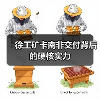 徐工矿卡南非交付背后的硬核实力(图2) 徐工矿卡南非交付背后的硬核实力(图2)
