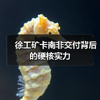 徐工矿卡南非交付背后的硬核实力(图4) 徐工矿卡南非交付背后的硬核实力(图4)