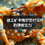徐工矿卡南非交付背后的硬核实力(图3) 徐工矿卡南非交付背后的硬核实力(图3)