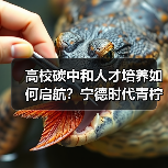 高校碳中和人才培养如何启航?宁德时代青柠计划详解(图3) 高校碳中和人才培养如何启航?宁德时代青柠计划详解(图3)