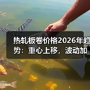 热轧板卷价格2026年趋势:重心上移,波动加剧?(图4) 热轧板卷价格2026年趋势:重心上移,波动加剧?(图4)