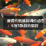 废钢价格最新调价动态：6涨5跌趋势解析（图4）