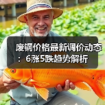 废钢价格最新调价动态：6涨5跌趋势解析（图1）