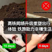 高铁网络升级重塑出行体验 铁路助力幸福生活（图2）