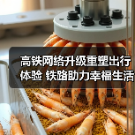 高铁网络升级重塑出行体验 铁路助力幸福生活（图3）