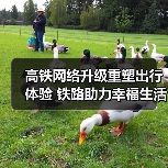 高铁网络升级重塑出行体验 铁路助力幸福生活（图1）