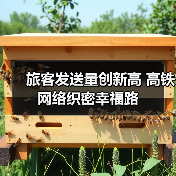 旅客发送量创新高 高铁网络织密幸福路(图4) 旅客发送量创新高 高铁网络织密幸福路(图4)