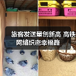 旅客发送量创新高 高铁网络织密幸福路(图2) 旅客发送量创新高 高铁网络织密幸福路(图2)