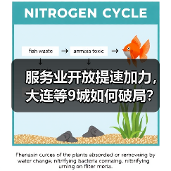 服务业开放提速加力,大连等9城如何破局?(图3) 服务业开放提速加力,大连等9城如何破局?(图3)