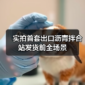 实拍首套出口沥青拌合站发货前全场景（图4）